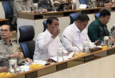 Mentan Amran Tegaskan Beras Satu Harga untuk Jaga Subsidi agar Tak Dimanfaatkan Swasta