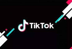 Microsoft dan Perplexity AI Bersaing Akuisisi TikTok untuk Hindari Larangan Beroperasi di AS