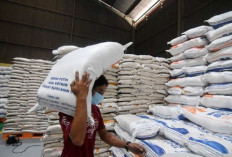 Stok Bahan Pangan Belitung Melimpah, Warga Tak Perlu Panic Buying Jelang Ramadan 