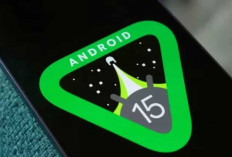 Daftar HP yang Sudah Terima Update Android 15 Hingga Agustus 2024