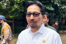 Bapanas Kaji Penyesuaian HET MinyaKita, Imbas Kenaikan Harga CPO Global