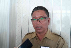 Wamendikdasmen Luncurkan Program Bercerita, Soebagio Sebut Momen Bersejarah Dunia Pendidikan Belitung