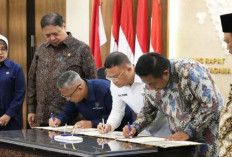 Investasi di KEK Tembus Rp17,5 Triliun pada Kuartal I 2025, Penyerapan Tenaga Kerja Meningkat