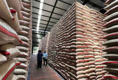 Pemerintah Pastikan Tak Ada Impor Beras dan Gula Konsumsi pada 2026