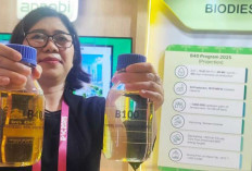 Biofuel, Jawaban atas Rapuhnya Energi Fosil Nasional