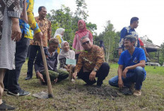 Bukan Sekadar Tanam Pohon! Ini 16 Rempah Lokal Langka yang Ditanam Program SOLUSI di Beltim