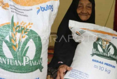 Bapanas Pastikan Bantuan Beras Periode Oktober–November 2025 Layak Konsumsi