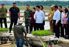 Mentan Amran: Distribusi Pupuk Sudah Lancar, Tidak Ada Keluhan dari Petani