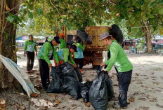 DLH Belitung Angkut Sebanyak 2 Ton Sampah, Hasil Aksi Bersih Destinasi Wisata Pantai