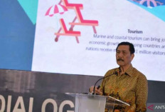 Luhut Siapkan Langkah Efisiensi untuk Turunkan Harga Tiket Pesawat