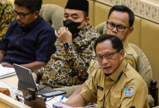 Kasus Beras Premium Oplosan, Mendagri Sebut Ada Keterlibatan Perusahaan Besar