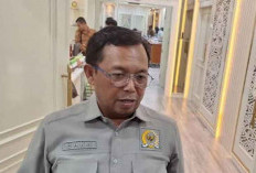 BAKN DPR: Danantara Gelontorkan Investasi Revitalisasi Pupuk Subsidi