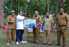 Pelindo Regional 2 Tanjungpandan Tanam 250 Pohon, Peringati Hari Lingkungan Hidup 2026