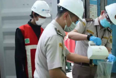 Menko Airlangga Pastikan Impor Pangan dari AS Tak Ganggu Swasembada