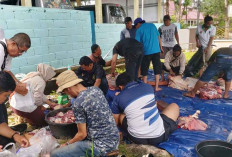 Idul Adha 2025, Pokja Wartawan Belitung Potong Sapi Kurban Bantuan PT Timah Tbk