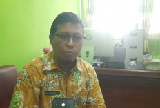 Bantuan Bibit Sawit Beltim 2026 Segera Digulirkan, Ini Syarat Wajib Penerima