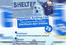 Komitmen Isyak-Masdar: 2S Jadi Solusi Manusiawi Atasi Anjing Liar di Belitung