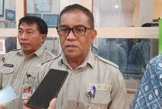 BRMP Dorong Belitung Timur Jadi Daerah Swasembada Pangan, Tanam Padi Bisa 3 Kali Setahun