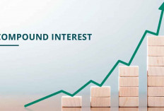Compound Interest: Cara Investasi Bekerja Menghasilkan Uang Saat Tidur