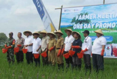 PT Pupuk Indonesia Siap Distribusikan 9,55 Juta Ton Pupuk Bersubsidi untuk Swasembada Pangan 2025