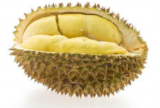 8 Manfaat Kesehatan yang Bisa Didapatkan dari Makan Durian dengan Bijak