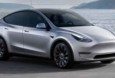 Tesla Tunda Peluncuran Model Y Versi Terjangkau, Dijadwalkan Ulang 2026