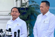 Presiden Perintahkan Tambah Polisi Hutan untuk Cegah Pembalakan Liar