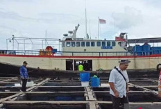 Peluang Ekonomi Baru di Belitung: Dari Penambang Timah Sukses Beralih Budidaya Ikan Kerapu