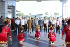 6 Perusahaan China Tinjau Lokasi Pelabuhan Ekspor, Gubernur Babel Optimistis Proyek Segera Terwujud