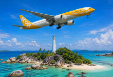 Scoot Masuk Belitung, Apa Dampak Nyatanya ke Ekonomi?