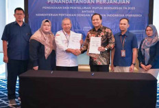 Pupuk Indonesia Siap Salurkan Pupuk Bersubsidi Mulai Januari 2025