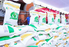 Resmi! Bantuan Pangan 20 Kg per Keluarga Dimulai Akhir Juni