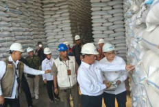 Mentan Sebut Stok Beras Nasional Tertinggi Sepanjang Sejarah, Tembus 5,3 Juta Ton