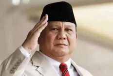 Mengenal Tantiem di BUMN: Aturan, Besaran, dan Alasan Prabowo Menghapusnya