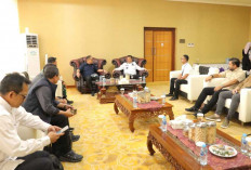 Wamen Investasi dan Gubernur Babel Bahas Hilirisasi Timah, Genjot Ekonomi Daerah