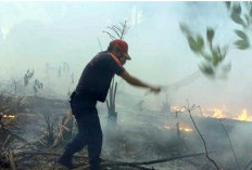 Karhutla Belitung 2026 Capai 105 Kasus, Lebih dari 108 Hektare Lahan Terbakar