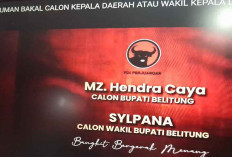 Pilkada Belitung 2024, PDIP Usung Pasangan Hendra Caya - Sylpana 