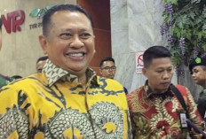 Perkuat Ekonomi Nasional, Golkar Dukung PDI-P Gabung Koalisi Prabowo-Gibran