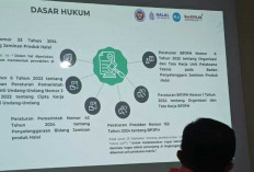Mulai Oktober Wajib Halal, Babel Bentuk UPT BPJPH untuk Bantu UMKM