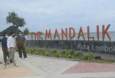 MotoGP Mandalika 2025 Catat Sejarah Baru, Penonton Tembus 142 Ribu Orang