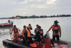 Tragedi Sungai Air Anyir: BPBD Bangka Kerahkan Tim Cari Anak yang Diterkam Buaya