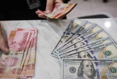 Reformasi Kurs Pajak Cegah Kebocoran Penerimaan Negara