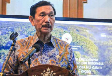 Luhut Sebut Kenaikan PPN 12 Persen Berpotensi Diundur, Tunggu Arahan Presiden