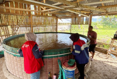 Petrofin Peduli CSR Award 2025, Elnusa Petrofin Apresiasi Unit Terbaik