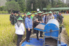 Yonif Ksatria Satam Dukung Kesejahteraan Petani Beltim, Fokuskan Hasil Panen untuk Masyarakat 