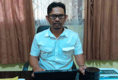 Cuaca Ekstrem dan Karhutla Mulai Berpengaruh pada Udara Belitung