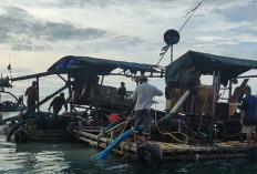 Ponton Tambang Timah Kembali Marak di Perairan Tanjung Ular, Nelayan: Kami Tidak Ingin Anarkis