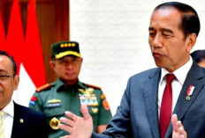 Jokowi Sebut IKN Baru Rampung Sekitar 15 Persen Saat HUT RI ke-79