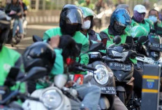 Ekonom Dukung Pengemudi Ojol Masuk UMKM, Apa Saja Keuntungannya?