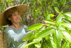 Perempuan Penjaga Harmonisasi Alam dari Dayak Iban